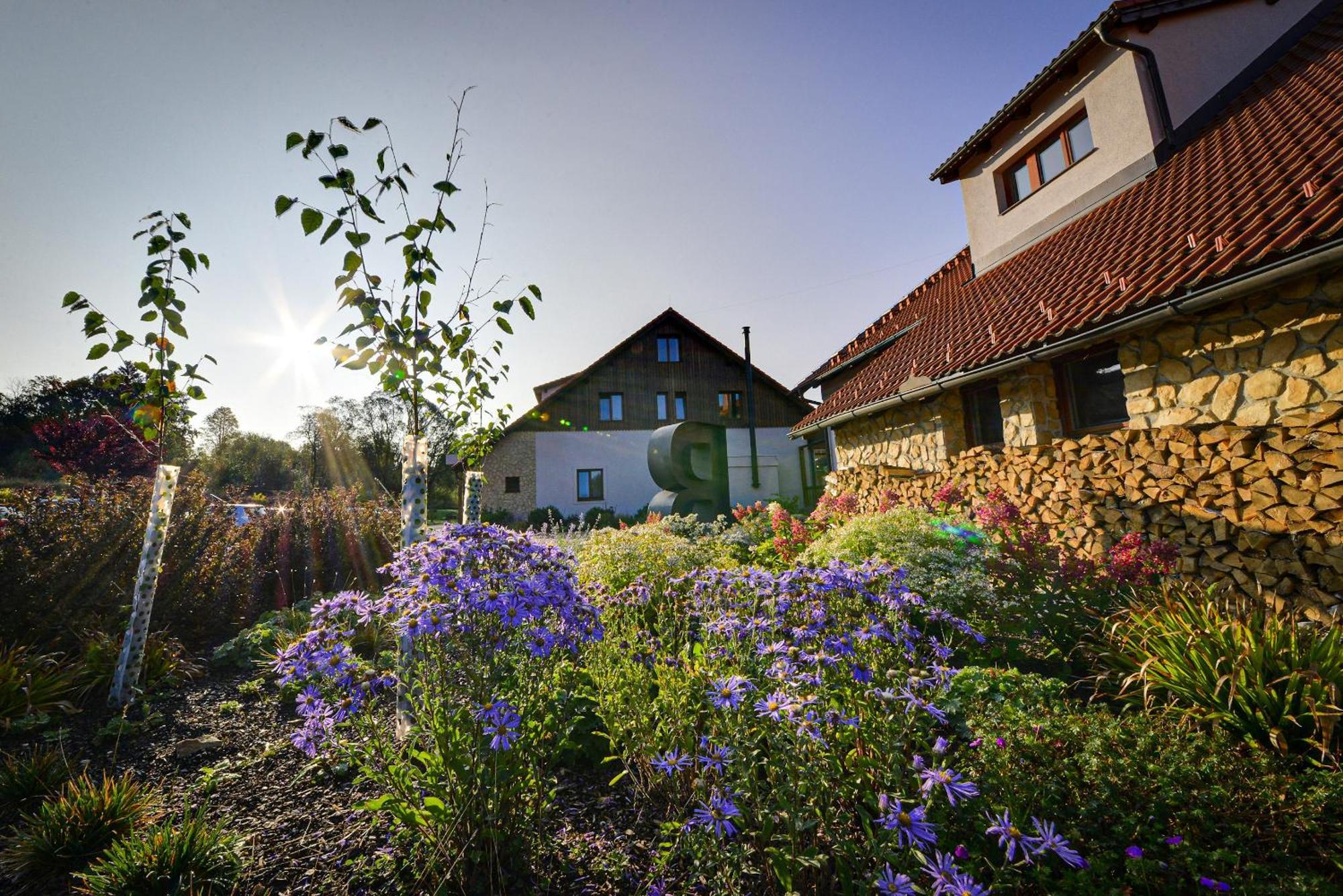Resort Orsino Horni Plana Exterior foto
